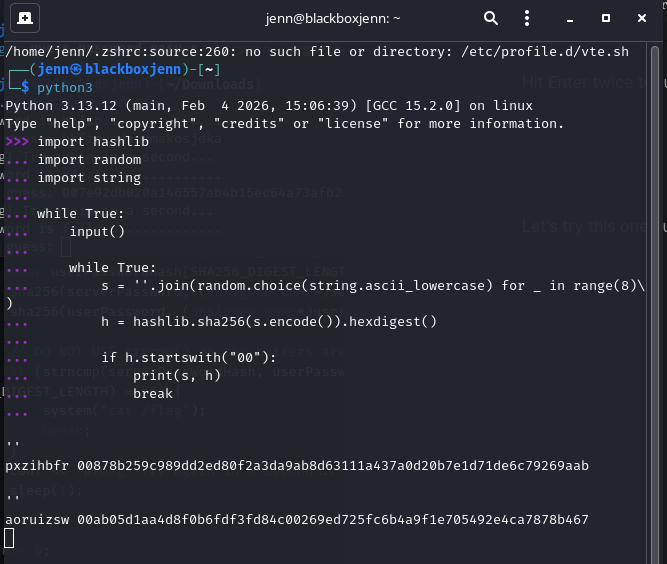 zero_zero_generator.py running against local binary